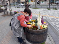 DSCF7585.JPG