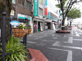 DSCF8784.JPG