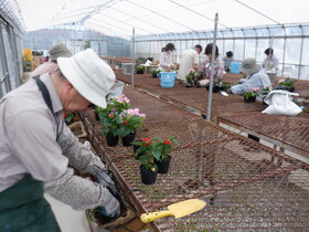 DSCF8772.JPG