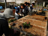 DSCF9359.JPG