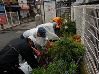 DSCF9398.JPG