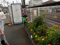 DSCF9407.JPG