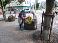 DSCN7283.JPG