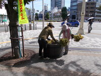 DSCN7286.JPG